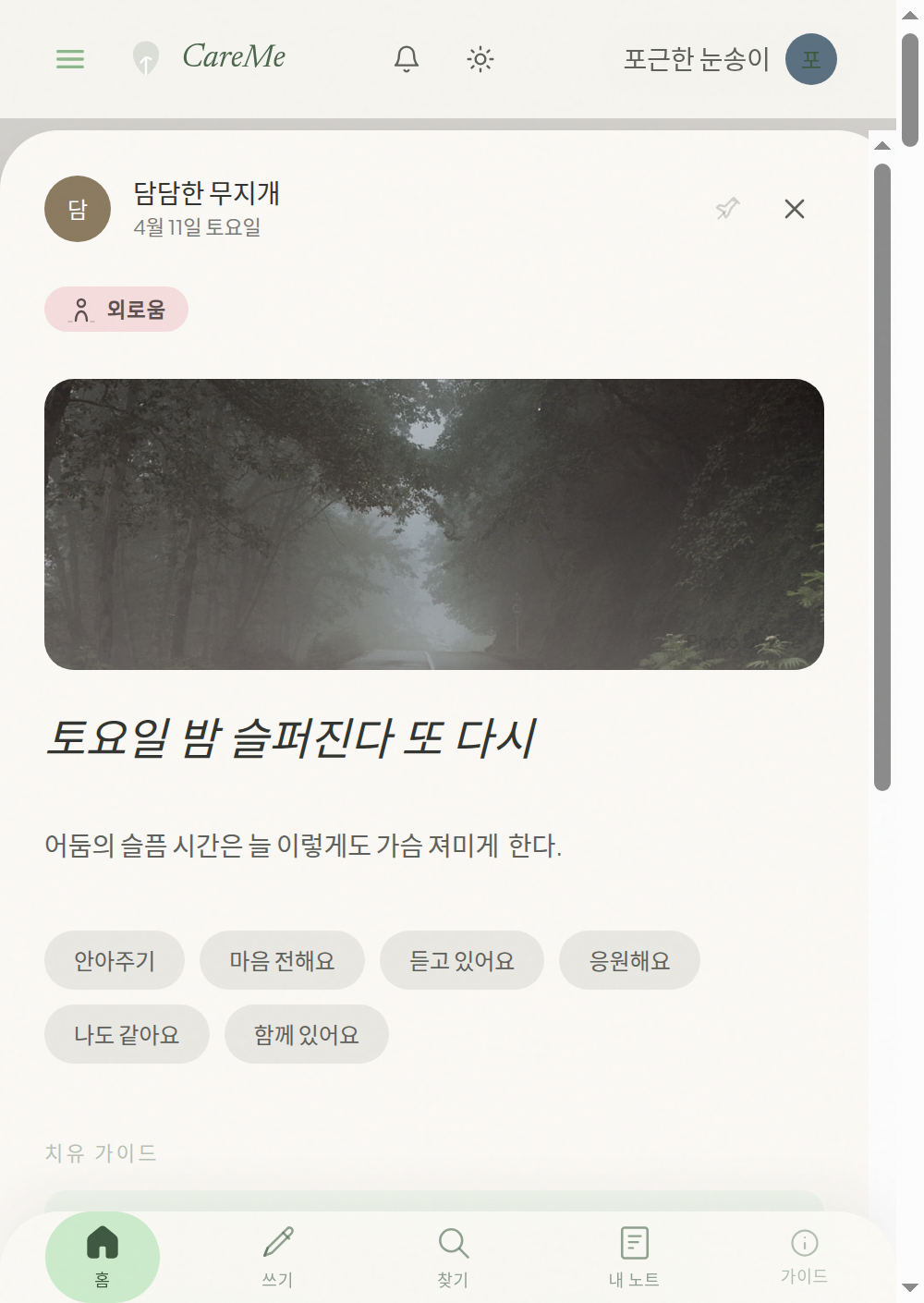 팝업 라이트